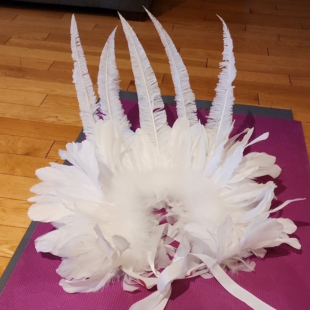 Carnival Feather Collar 🪶